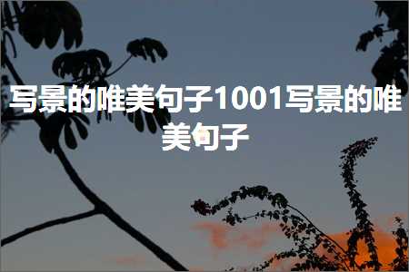 鍐欐櫙鐨勫敮缇庡彞瀛?001鍐欐櫙鐨勫敮缇庡彞瀛愶紙鏂囨960鏉★級